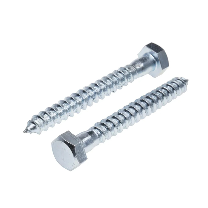 Hex Coach Screw