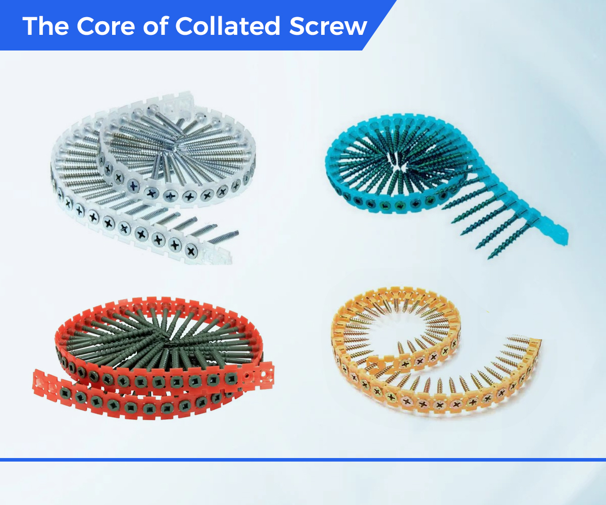 The Core of Collated Screw