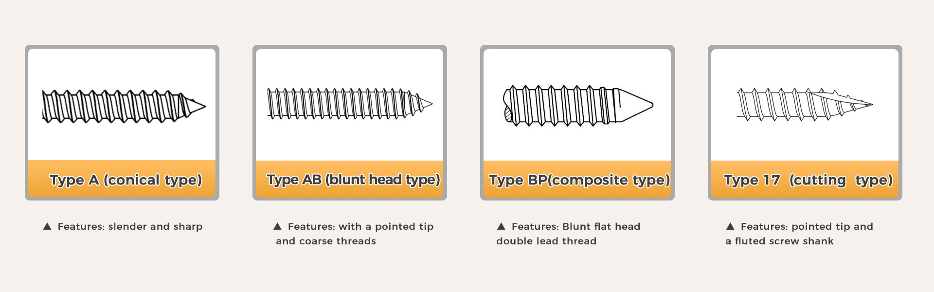 Self Tapping Screw