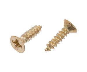 Brass Screws