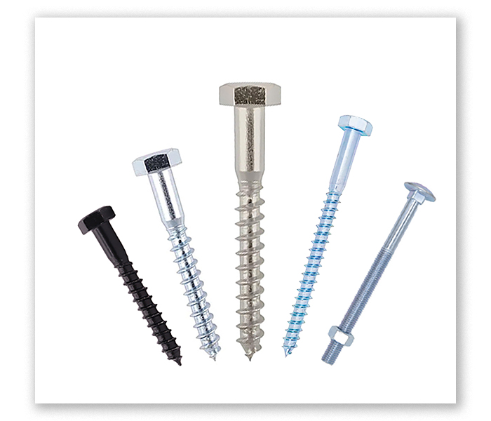 Coach Screws