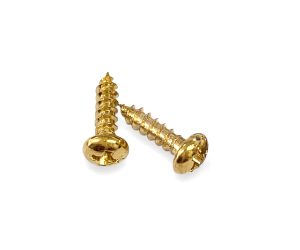 Dome Head Screw