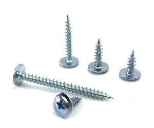 Wafer Head Screw