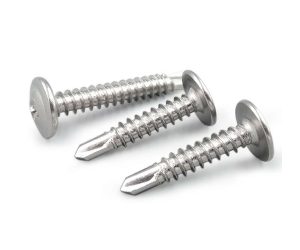 Stainless Steel Screws